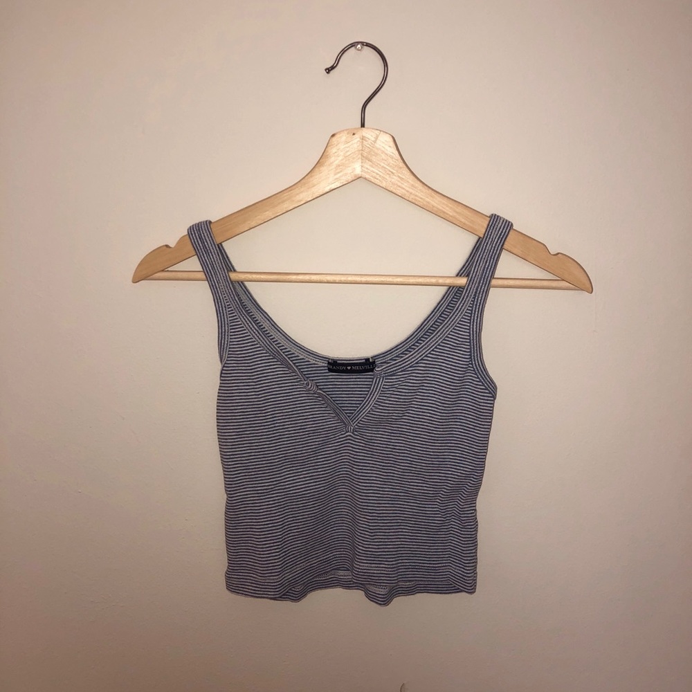Brandy Melville Blue and White Striped Crop Top